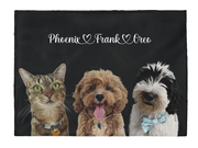 Load image into Gallery viewer, Three pet blanket
