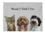 Load image into Gallery viewer, Three pet blanket
