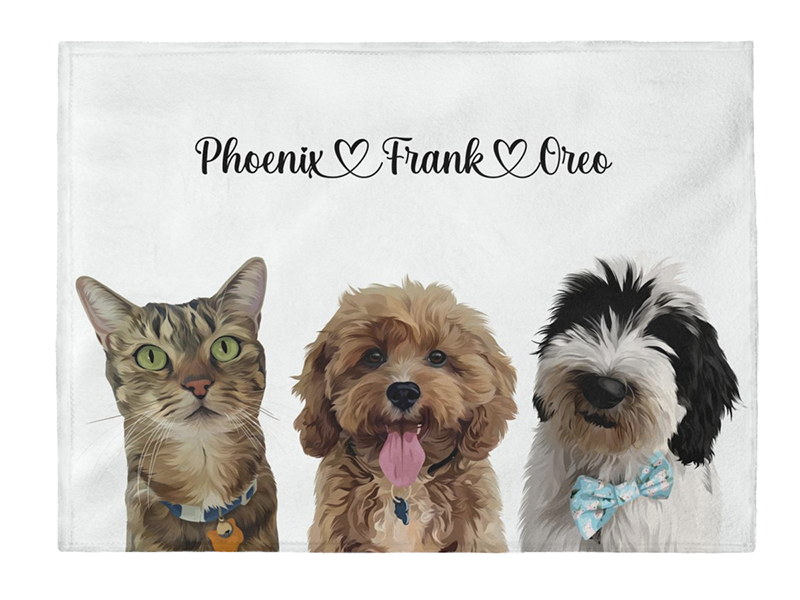 Three pet blanket
