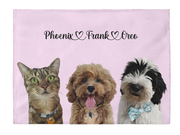 Load image into Gallery viewer, Three pet blanket
