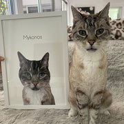Load image into Gallery viewer, Custom Cat Portrait
